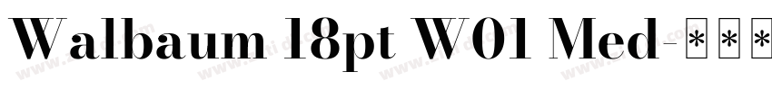 Walbaum 18pt W01 Med字体转换